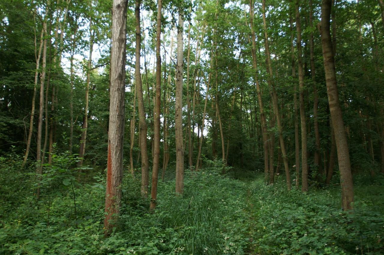 Podkrovi S Koupelnou Svinarov エクステリア 写真