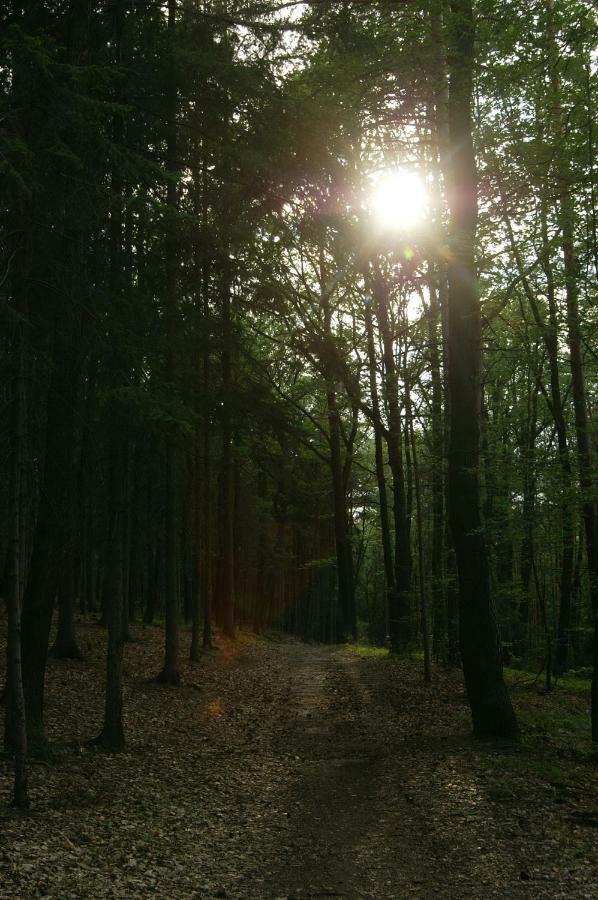 Podkrovi S Koupelnou Svinarov エクステリア 写真